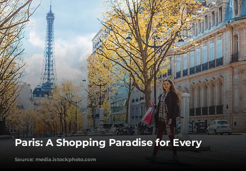 Paris: A Shopping Paradise for Every Taste