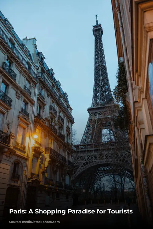 Paris: A Shopping Paradise for Tourists