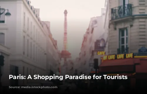 Paris: A Shopping Paradise for Tourists