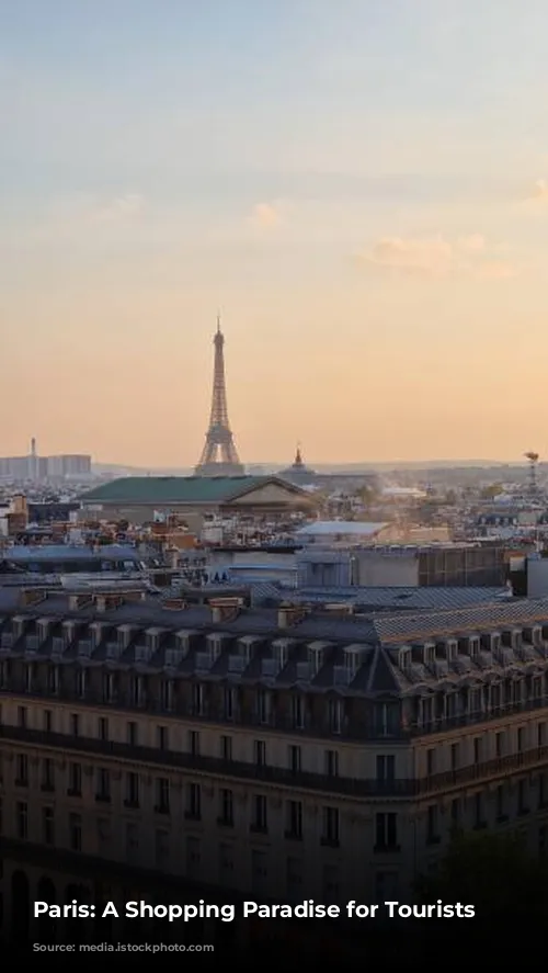 Paris: A Shopping Paradise for Tourists