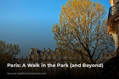 Paris: A Walk in the Park (and Beyond)