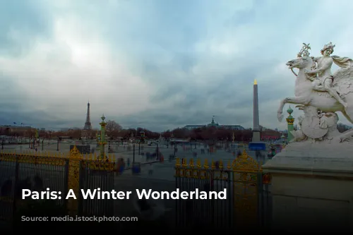 Paris: A Winter Wonderland