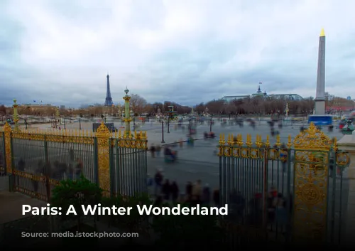 Paris: A Winter Wonderland