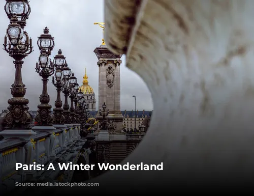 Paris: A Winter Wonderland