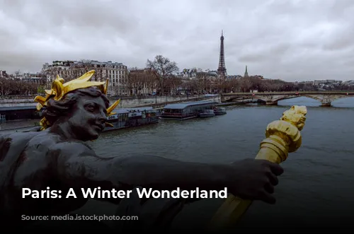 Paris: A Winter Wonderland