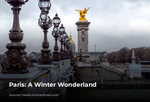 Paris: A Winter Wonderland