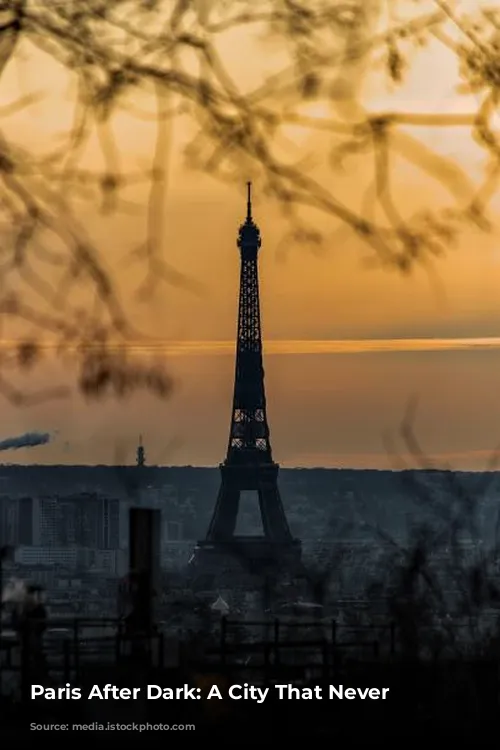 Paris After Dark:  A City That Never Sleeps