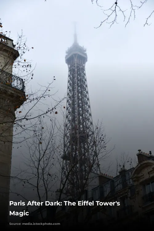 Paris After Dark: The Eiffel Tower's Nighttime Magic