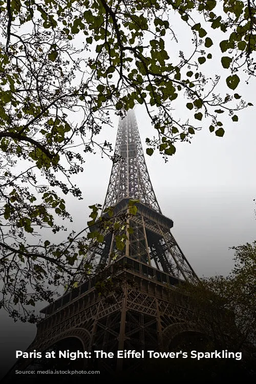 Paris at Night: The Eiffel Tower's Sparkling Show