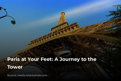 Paris at Your Feet: A Journey to the Eiffel Tower