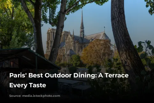 Paris' Best Outdoor Dining: A Terrace for Every Taste