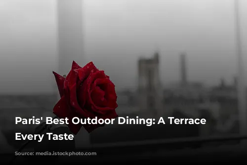 Paris' Best Outdoor Dining: A Terrace for Every Taste