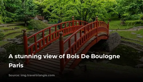 A stunning view of Bois De Boulogne in Paris