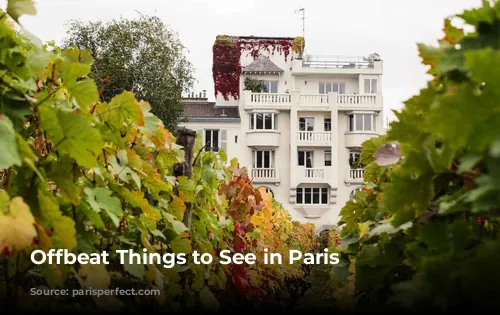 Offbeat Things to See in Paris