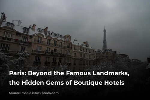 Paris: Beyond the Famous Landmarks, Discover the Hidden Gems of Boutique Hotels