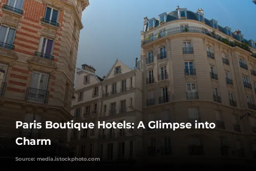 Paris Boutique Hotels: A Glimpse into Parisian Charm