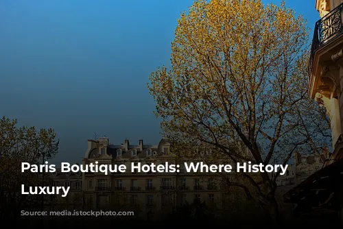 Paris Boutique Hotels: Where History Meets Luxury