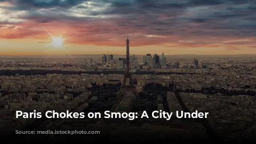 Paris Chokes on Smog: A City Under Siege