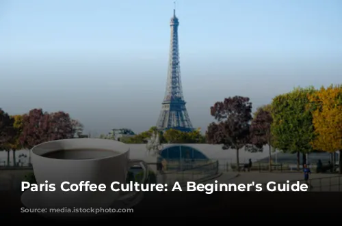 Paris Coffee Culture: A Beginner's Guide