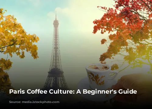 Paris Coffee Culture: A Beginner's Guide