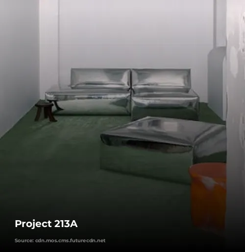 Project 213A