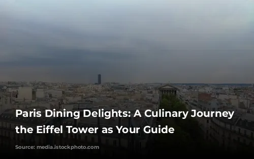 Paris Dining Delights: A Culinary Journey with the Eiffel Tower as Your Guide