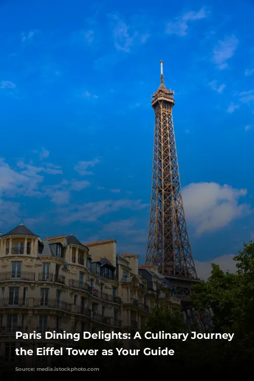 Paris Dining Delights: A Culinary Journey with the Eiffel Tower as Your Guide