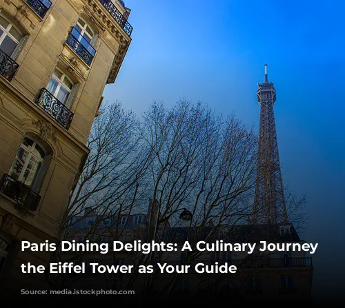 Paris Dining Delights: A Culinary Journey with the Eiffel Tower as Your Guide