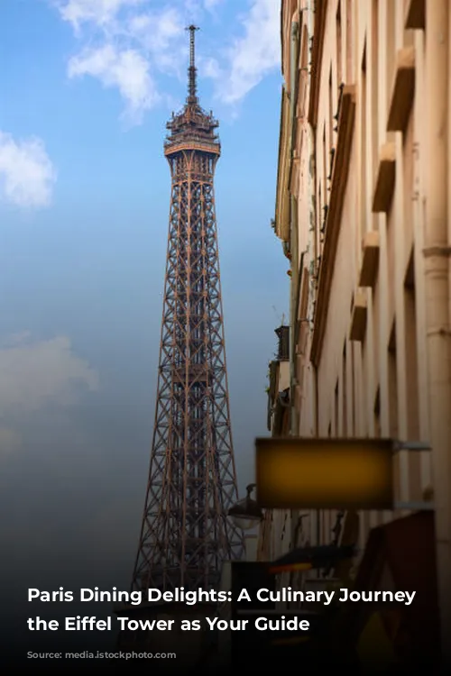 Paris Dining Delights: A Culinary Journey with the Eiffel Tower as Your Guide