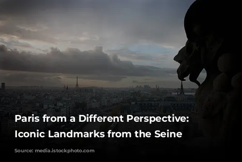 Paris from a Different Perspective: Discover Iconic Landmarks from the Seine