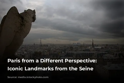 Paris from a Different Perspective: Discover Iconic Landmarks from the Seine