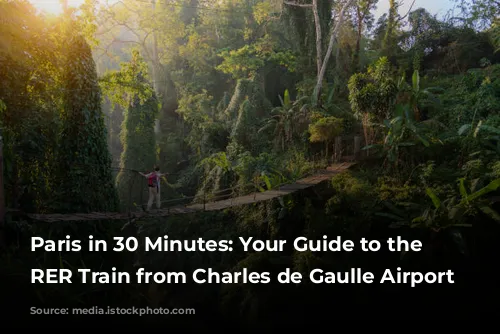 Paris in 30 Minutes: Your Guide to the Express RER Train from Charles de Gaulle Airport