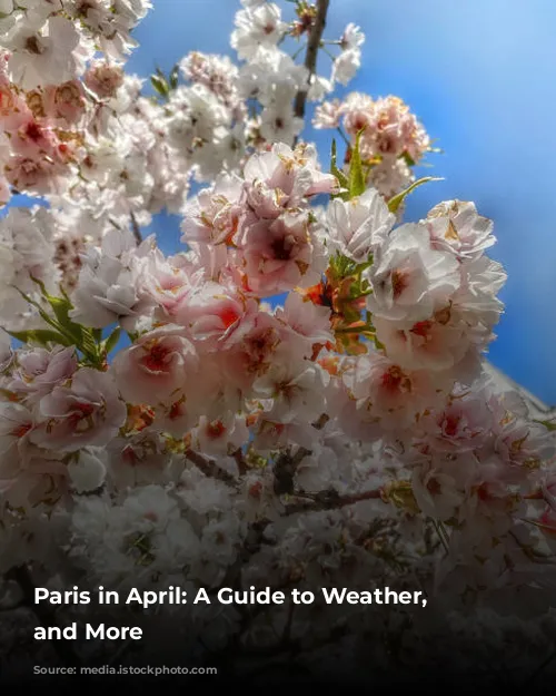 Paris in April: A Guide to Weather, Attractions, and More