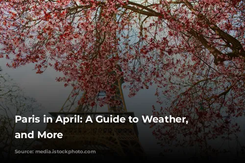 Paris in April: A Guide to Weather, Attractions, and More