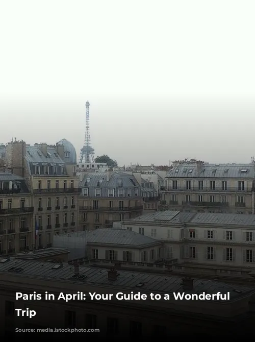 Paris in April:  Your Guide to a Wonderful Springtime Trip