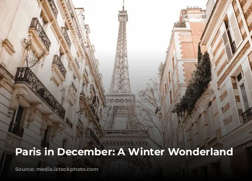 Paris in December: A Winter Wonderland