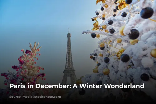 Paris in December: A Winter Wonderland