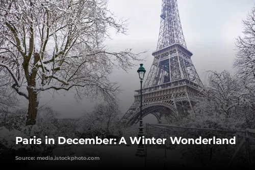 Paris in December: A Winter Wonderland