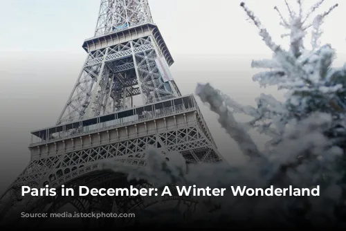 Paris in December: A Winter Wonderland