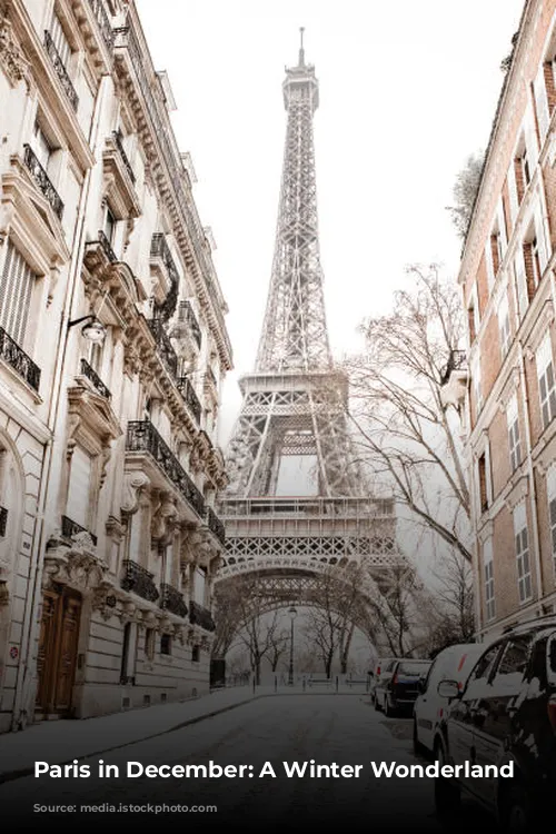 Paris in December: A Winter Wonderland