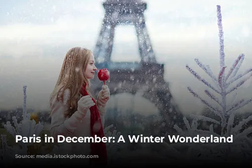 Paris in December: A Winter Wonderland