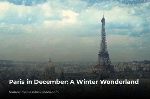 Paris in December: A Winter Wonderland