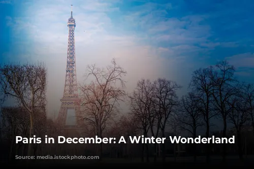 Paris in December: A Winter Wonderland