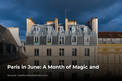 Paris in June: A Month of Magic and Wonder