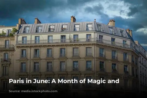 Paris in June: A Month of Magic and Wonder