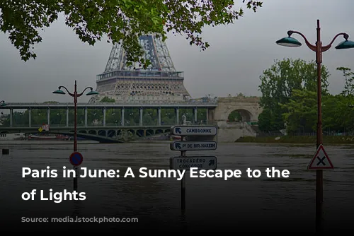 Paris in June: A Sunny Escape to the City of Lights