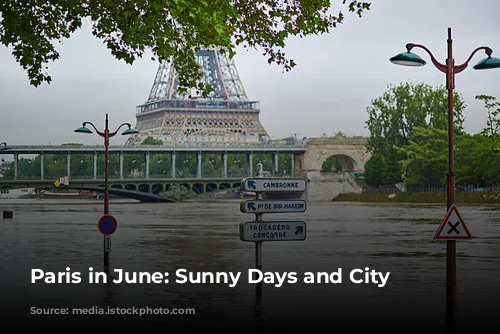 Paris in June: Sunny Days and City Exploration