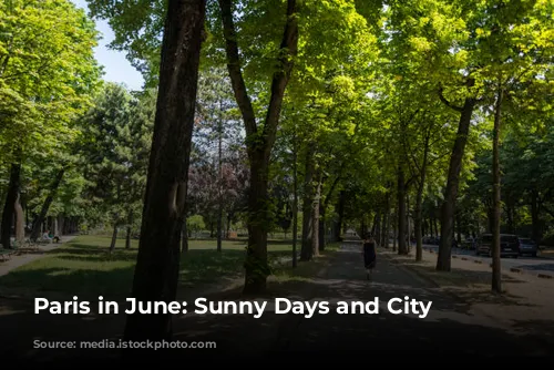 Paris in June: Sunny Days and City Exploration