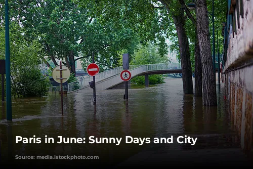 Paris in June: Sunny Days and City Exploration