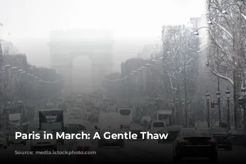 Paris in March: A Gentle Thaw